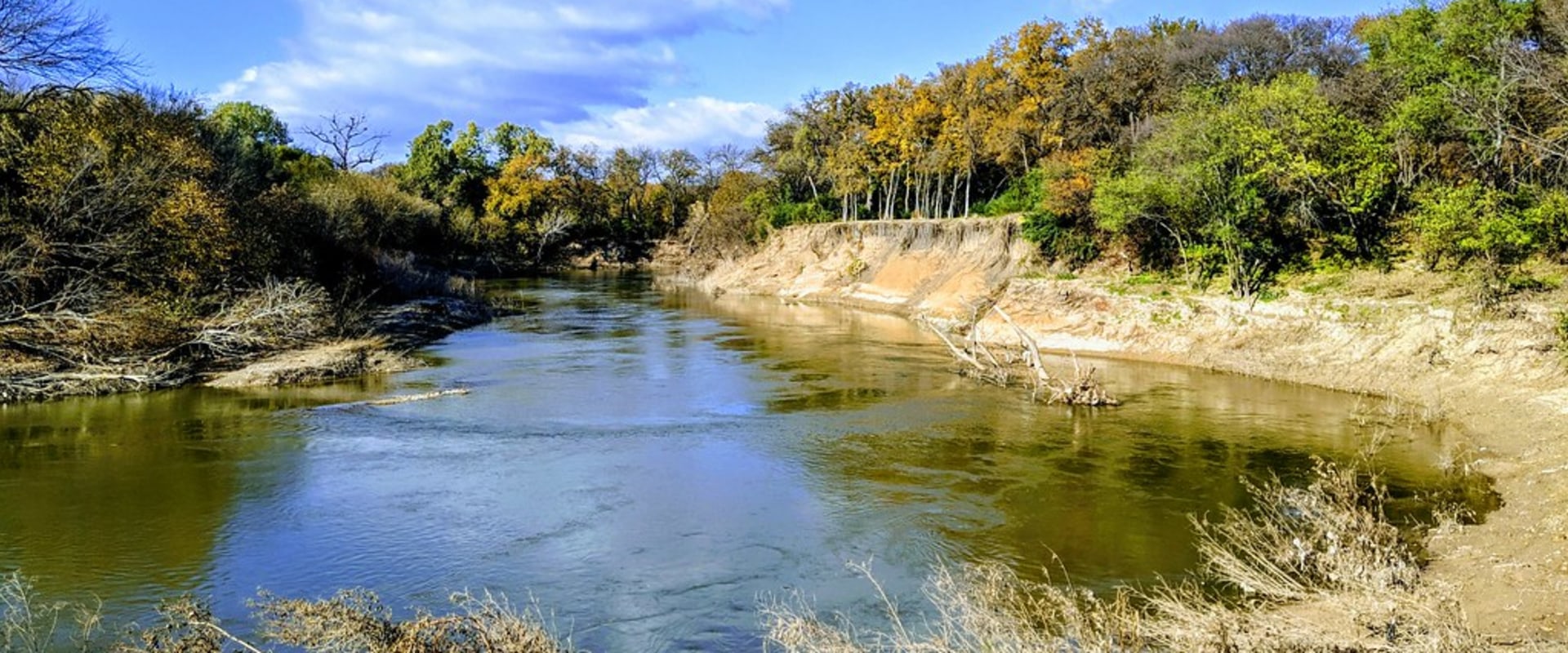 Biking and Birdwatching: Exploring Fort Worth's Natural Beauty